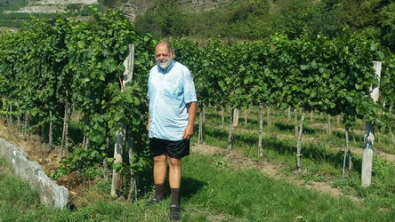 20150831_305 Donau-Radweg, Wachau, Klaus.jpg